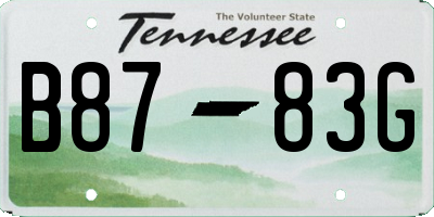 TN license plate B8783G