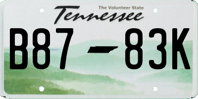 TN license plate B8783K