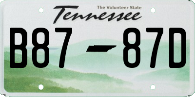 TN license plate B8787D
