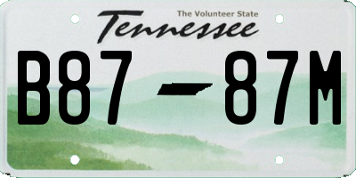 TN license plate B8787M