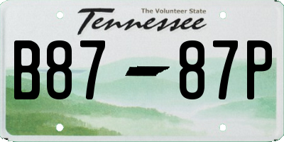 TN license plate B8787P