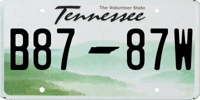 TN license plate B8787W