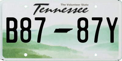 TN license plate B8787Y