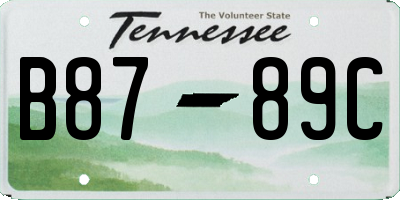 TN license plate B8789C