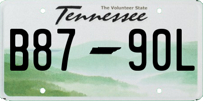 TN license plate B8790L