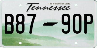 TN license plate B8790P