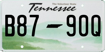TN license plate B8790Q