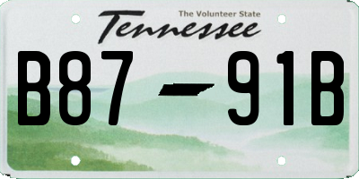 TN license plate B8791B