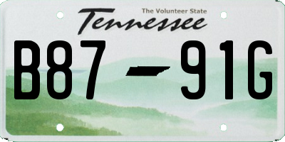 TN license plate B8791G