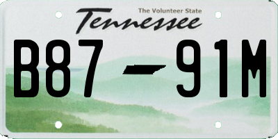 TN license plate B8791M
