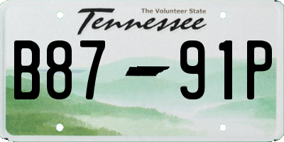 TN license plate B8791P
