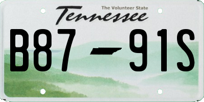 TN license plate B8791S