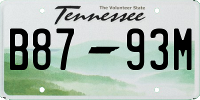TN license plate B8793M