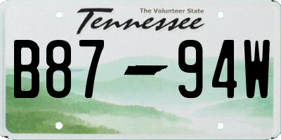 TN license plate B8794W