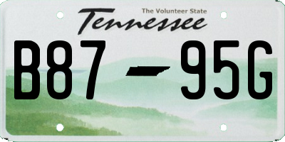 TN license plate B8795G