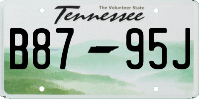 TN license plate B8795J