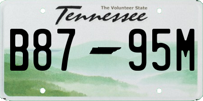 TN license plate B8795M