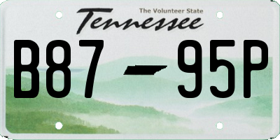 TN license plate B8795P