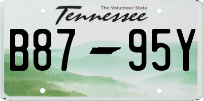TN license plate B8795Y