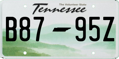 TN license plate B8795Z