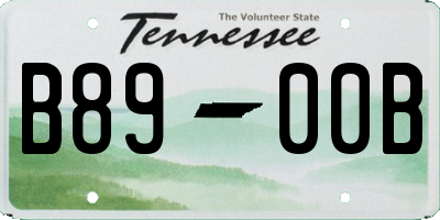 TN license plate B8900B