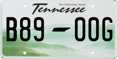 TN license plate B8900G