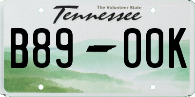 TN license plate B8900K