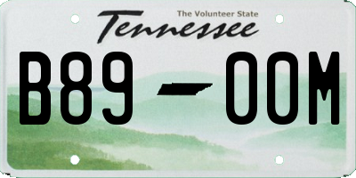 TN license plate B8900M
