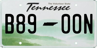 TN license plate B8900N