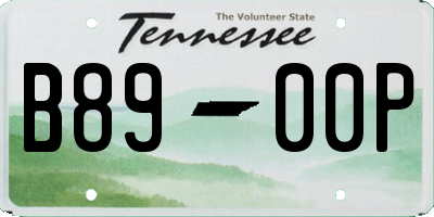 TN license plate B8900P