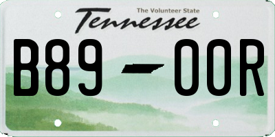 TN license plate B8900R
