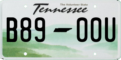 TN license plate B8900U