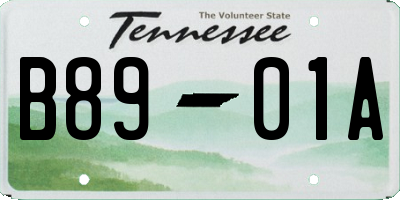 TN license plate B8901A