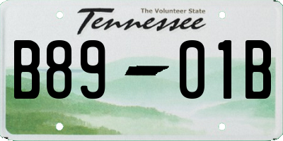 TN license plate B8901B