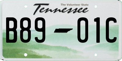 TN license plate B8901C
