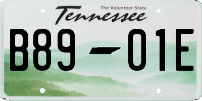 TN license plate B8901E