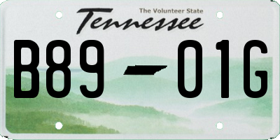 TN license plate B8901G