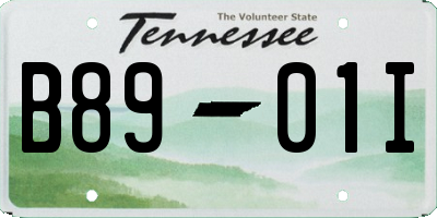 TN license plate B8901I