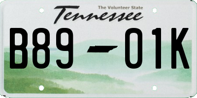 TN license plate B8901K