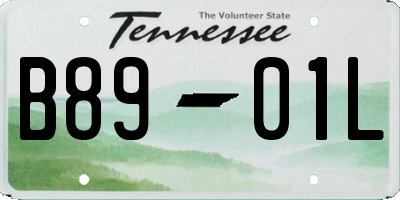 TN license plate B8901L