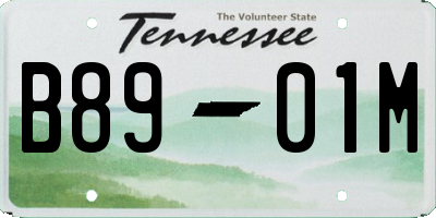 TN license plate B8901M