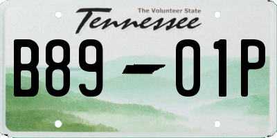 TN license plate B8901P