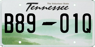 TN license plate B8901Q