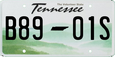 TN license plate B8901S