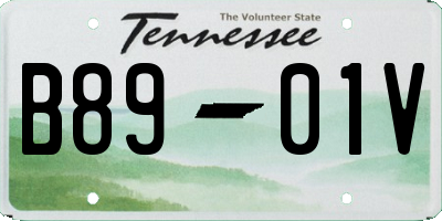 TN license plate B8901V