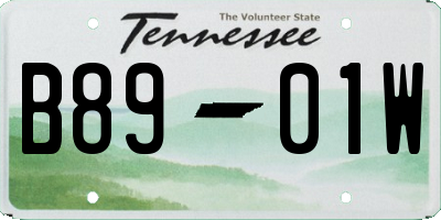 TN license plate B8901W