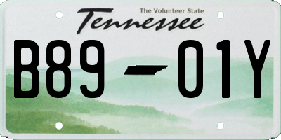 TN license plate B8901Y