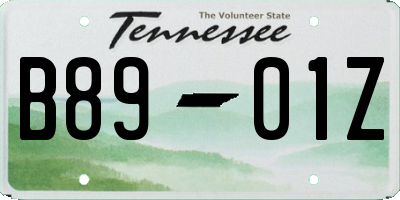 TN license plate B8901Z