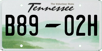 TN license plate B8902H