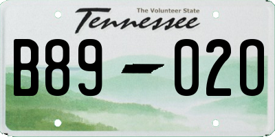 TN license plate B8902O